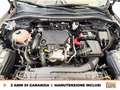 Ford Kuga 1.5 ecoblue titanium 2wd 120cv Grau - thumbnail 11