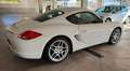 Porsche Cayman S Weiß - thumbnail 13