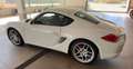 Porsche Cayman S Weiß - thumbnail 14