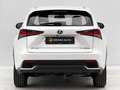 Lexus NX 300 300h Business Navigation 2WD Blanco - thumbnail 4