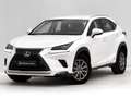 Lexus NX 300 300h Business Navigation 2WD Blanco - thumbnail 1