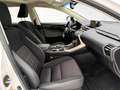 Lexus NX 300 300h Business Navigation 2WD Blanco - thumbnail 14