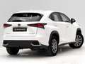Lexus NX 300 300h Business Navigation 2WD Blanco - thumbnail 5