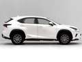 Lexus NX 300 300h Business Navigation 2WD Blanco - thumbnail 6