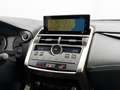 Lexus NX 300 300h Business Navigation 2WD Blanco - thumbnail 11