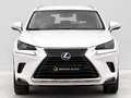 Lexus NX 300 300h Business Navigation 2WD Blanco - thumbnail 8