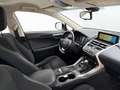 Lexus NX 300 300h Business Navigation 2WD Blanco - thumbnail 15