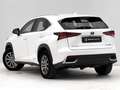 Lexus NX 300 300h Business Navigation 2WD Blanco - thumbnail 3