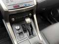 Lexus NX 300 300h Business Navigation 2WD Blanco - thumbnail 10