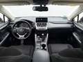 Lexus NX 300 300h Business Navigation 2WD Blanco - thumbnail 9