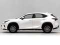 Lexus NX 300 300h Business Navigation 2WD Blanco - thumbnail 2