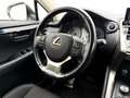 Lexus NX 300 300h Business Navigation 2WD Blanco - thumbnail 12