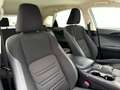Lexus NX 300 300h Business Navigation 2WD Blanco - thumbnail 16