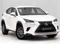 Lexus NX 300 300h Business Navigation 2WD Blanco - thumbnail 7