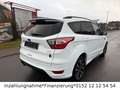 Ford Kuga ST-Line Weiß - thumbnail 5