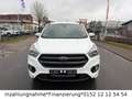 Ford Kuga ST-Line Weiß - thumbnail 1