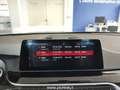 BMW 530 e Sport Auto Plug-in Hybrid Navi Pelle Fari LED Blau - thumbnail 14