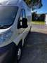 Fiat Ducato 120 Multijet Bianco - thumbnail 6