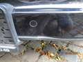 Porsche Cayenne Diesel Platinum Edition Schwarz - thumbnail 13