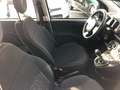 Fiat Panda 1.0 firefly hybrid 70 CV 5 p.ti PREZZO REALE Bianco - thumbnail 8