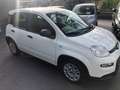 Fiat Panda 1.0 firefly hybrid 70 CV 5 p.ti PREZZO REALE Bianco - thumbnail 6