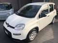Fiat Panda 1.0 firefly hybrid 70 CV 5 p.ti PREZZO REALE Bianco - thumbnail 2