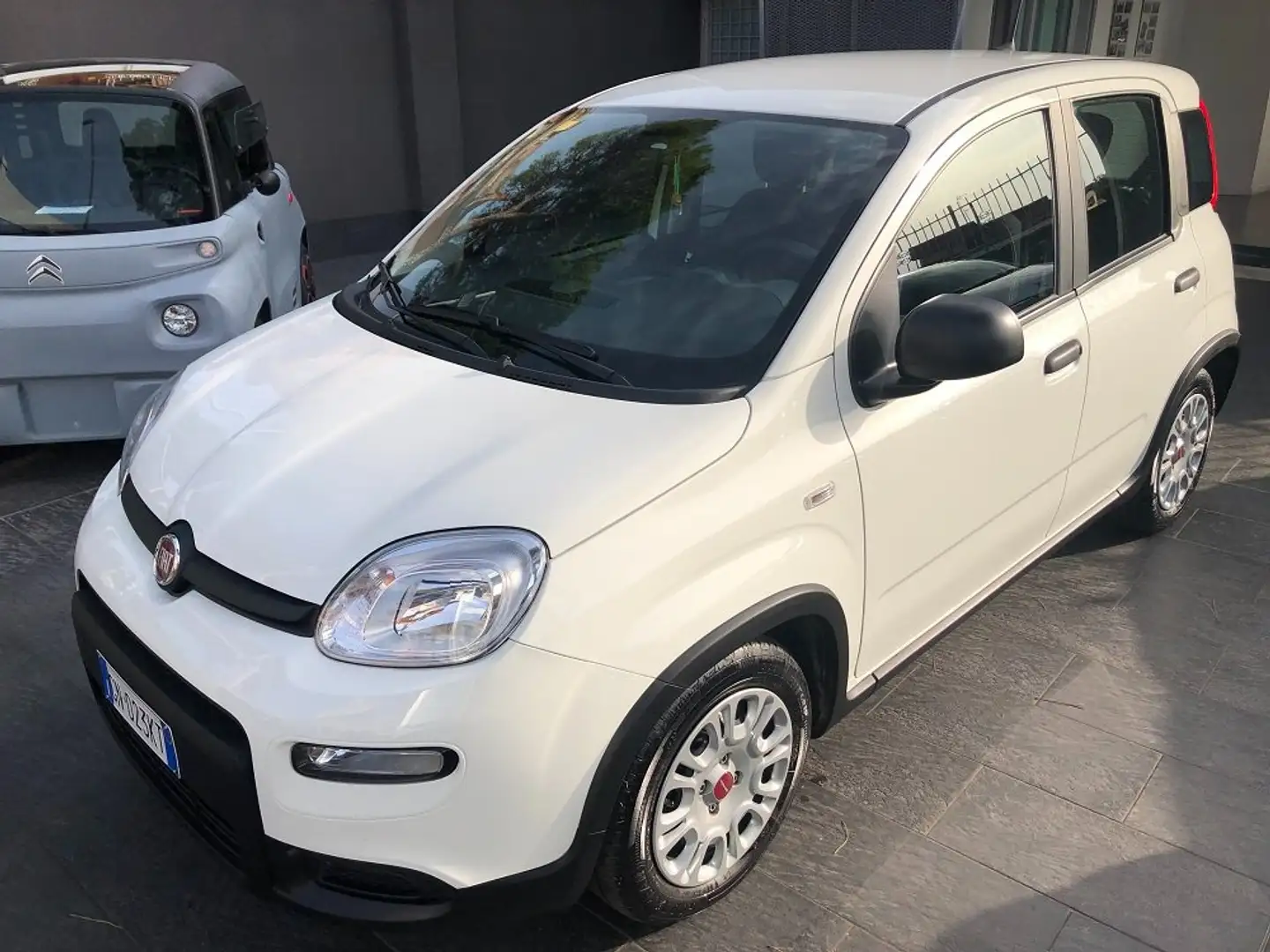 Fiat Panda 1.0 firefly hybrid 70 CV 5 p.ti PREZZO REALE Bianco - 2