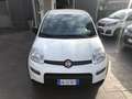 Fiat Panda 1.0 firefly hybrid 70 CV 5 p.ti PREZZO REALE Bianco - thumbnail 1