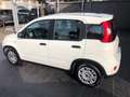 Fiat Panda 1.0 firefly hybrid 70 CV 5 p.ti PREZZO REALE Bianco - thumbnail 3