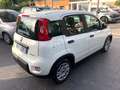 Fiat Panda 1.0 firefly hybrid 70 CV 5 p.ti PREZZO REALE Bianco - thumbnail 5