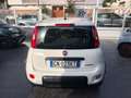 Fiat Panda 1.0 firefly hybrid 70 CV 5 p.ti PREZZO REALE Bianco - thumbnail 4