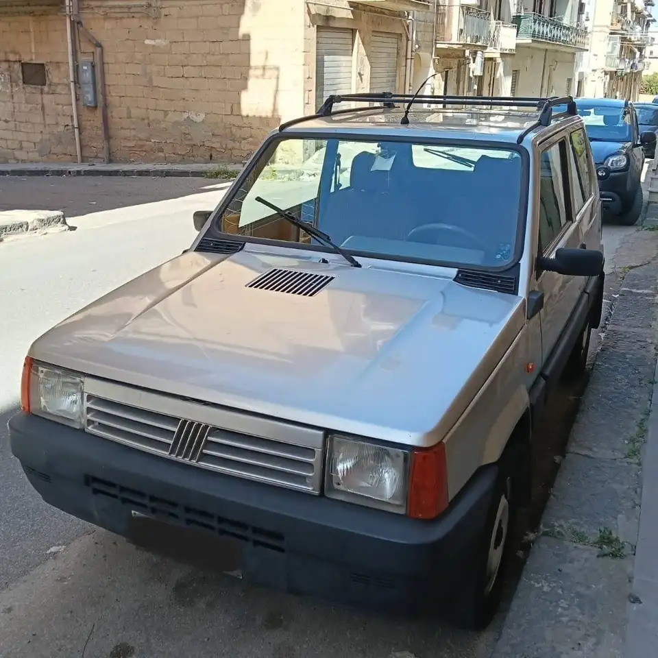 Fiat Panda 4X4, Country Club, foto 3