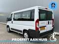 Fiat Ducato Rolstoelbus (Meerijder) 4 Persoons Automaat Wit - thumbnail 2