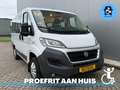 Fiat Ducato Rolstoelbus (Meerijder) 4 Persoons Automaat Wit - thumbnail 1