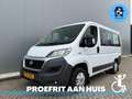 Fiat Ducato Rolstoelbus (Meerijder) 4 Persoons Automaat Wit - thumbnail 11