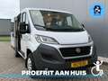 Fiat Ducato Rolstoelbus (Meerijder) 4 Persoons Automaat Wit - thumbnail 17