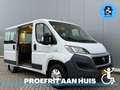 Fiat Ducato Rolstoelbus (Meerijder) 4 Persoons Automaat Wit - thumbnail 16