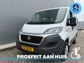Fiat Ducato Rolstoelbus (Meerijder) 4 Persoons Automaat Wit - thumbnail 12