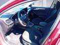 Ford Focus Turnier 1.0 EcoBoost Hybrid Aut. TITANIUM Rot - thumbnail 8