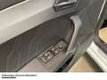 CUPRA Formentor VZ 2.0 TSI DSG 4Drive Panoramadach Weiß - thumbnail 10
