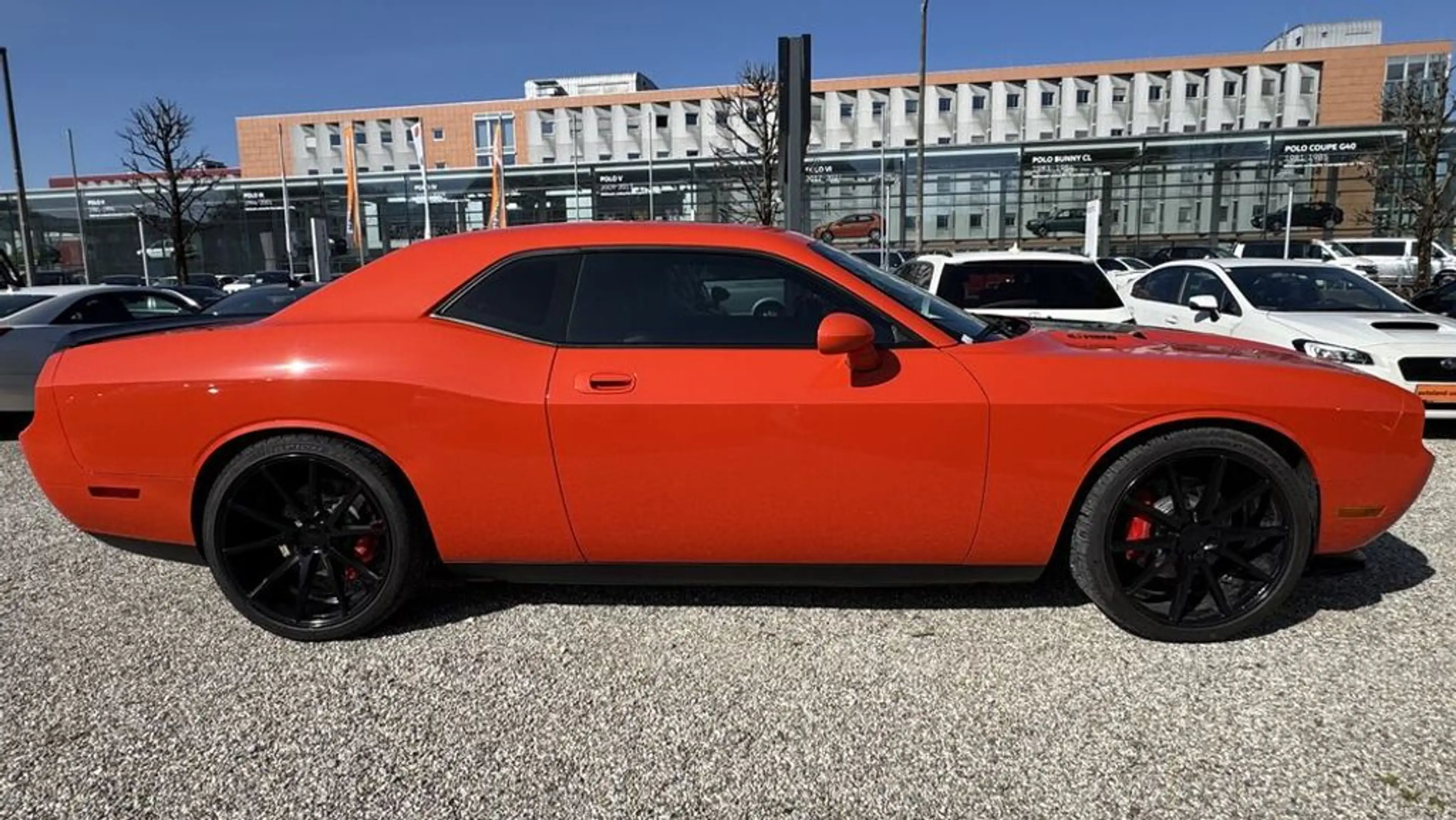 Dodge Challenger SRT-8 Schiebedach 22'' Vossen *40.000KM* LIEBHABER — photo 4