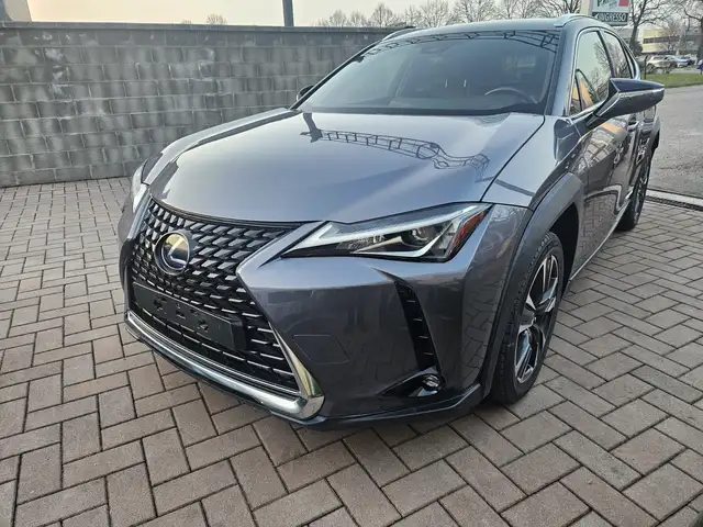 Lexus UX 250h