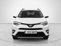 Toyota RAV4 2.5 hybrid 2WD Executive Blanco - thumbnail 7