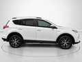 Toyota RAV4 2.5 hybrid 2WD Executive Blanco - thumbnail 2