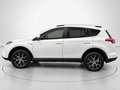 Toyota RAV4 2.5 hybrid 2WD Executive Blanco - thumbnail 6