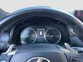 Lexus NX 300 NX 300h 2.5 F Sport 4wd cvt Gri - thumbnail 16