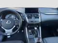 Lexus NX 300 NX 300h 2.5 F Sport 4wd cvt Grigio - thumbnail 14