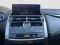 Lexus NX 300 NX 300h 2.5 F Sport 4wd cvt Gri - thumbnail 18