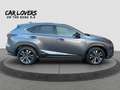 Lexus NX 300 NX 300h 2.5 F Sport 4wd cvt Grigio - thumbnail 8