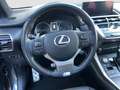 Lexus NX 300 NX 300h 2.5 F Sport 4wd cvt Grigio - thumbnail 9